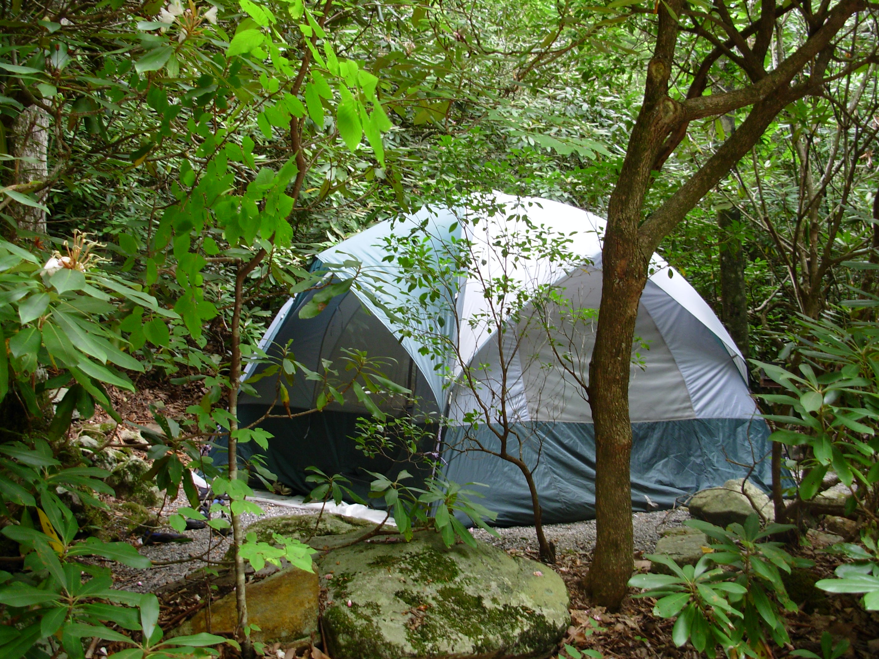 Tent set up at the Montreat campgrounds.