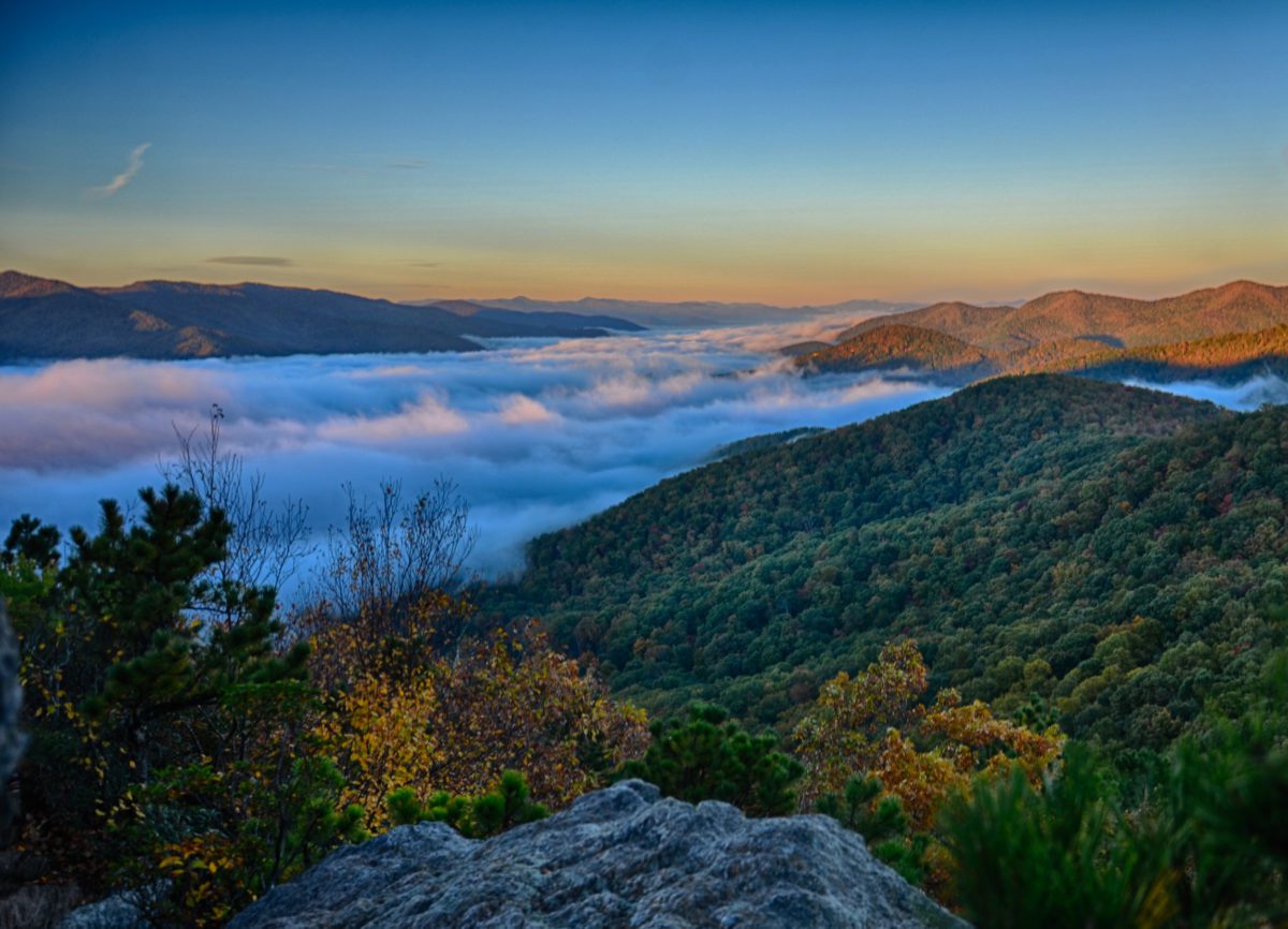 Montreat's Wilderness | Montreat Conference Center