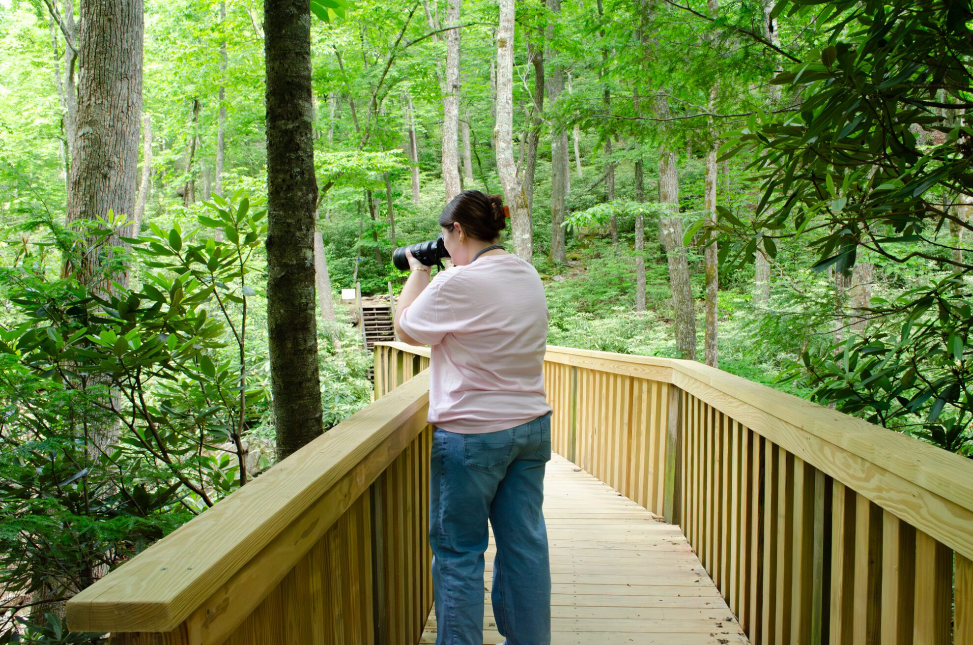 staff-2026_0001_1